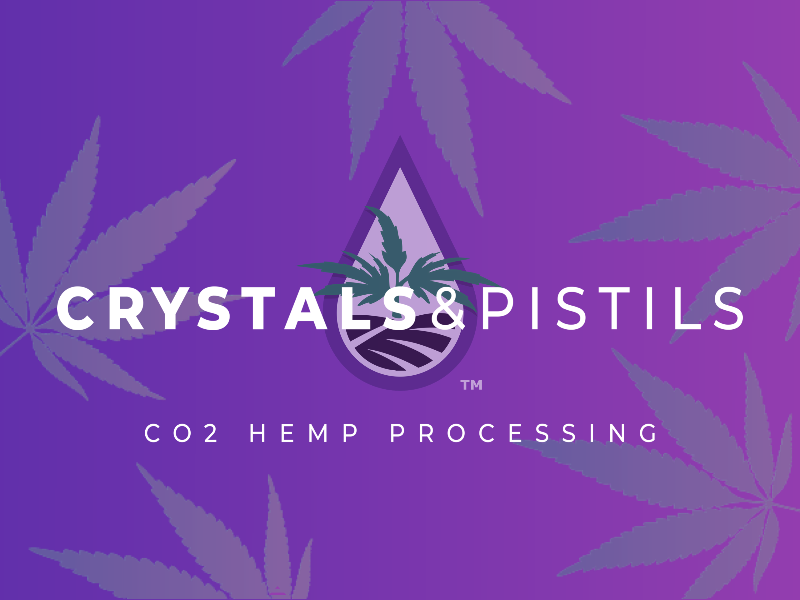 Crystals and Pistils Logo